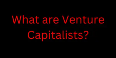 What are Venture Capitalists